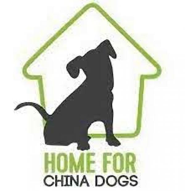 Home For China Dogs